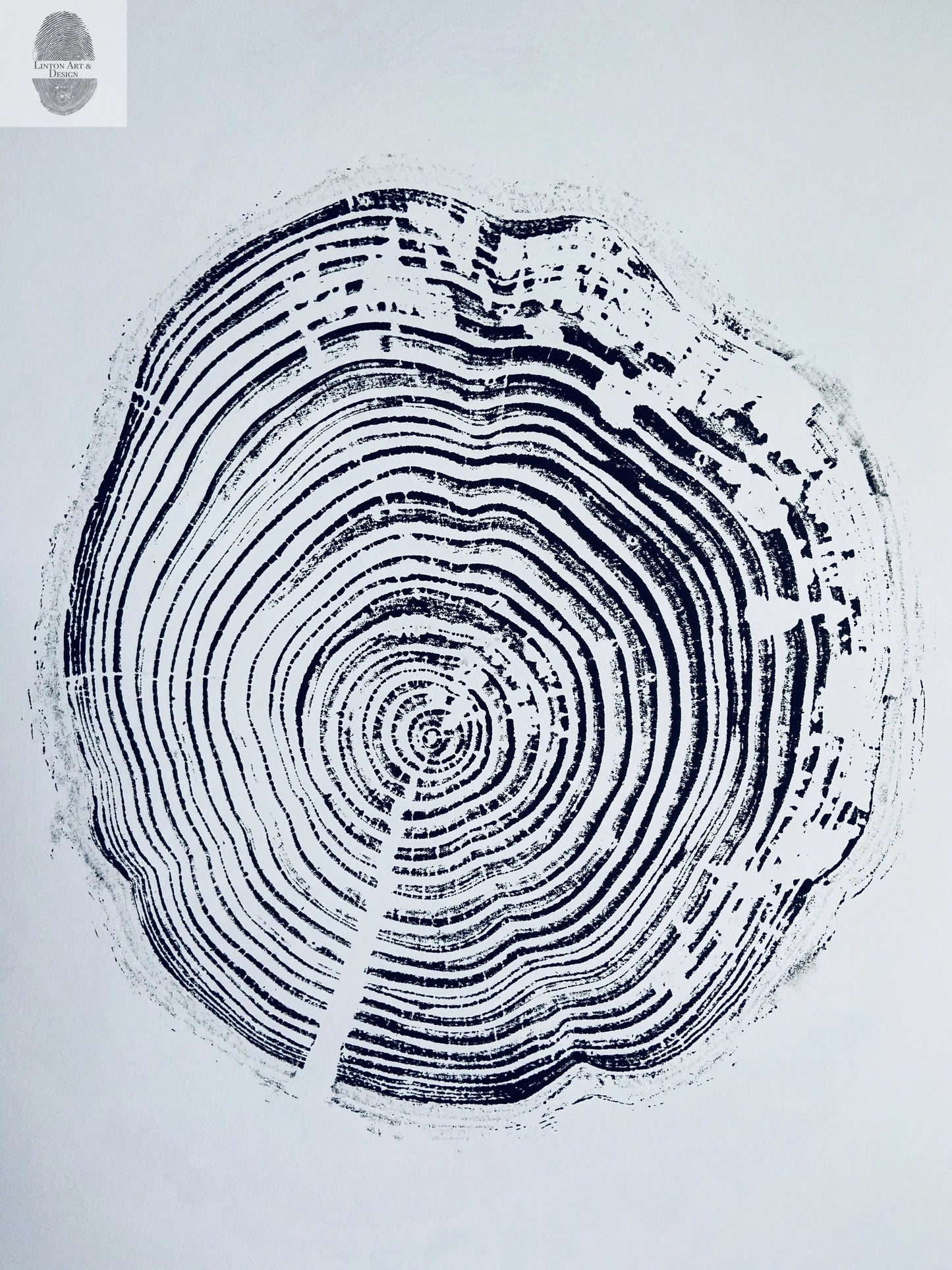 California Redwood, San Francisco, 30 year old wood ring, 18"x24", Hand-pressed print