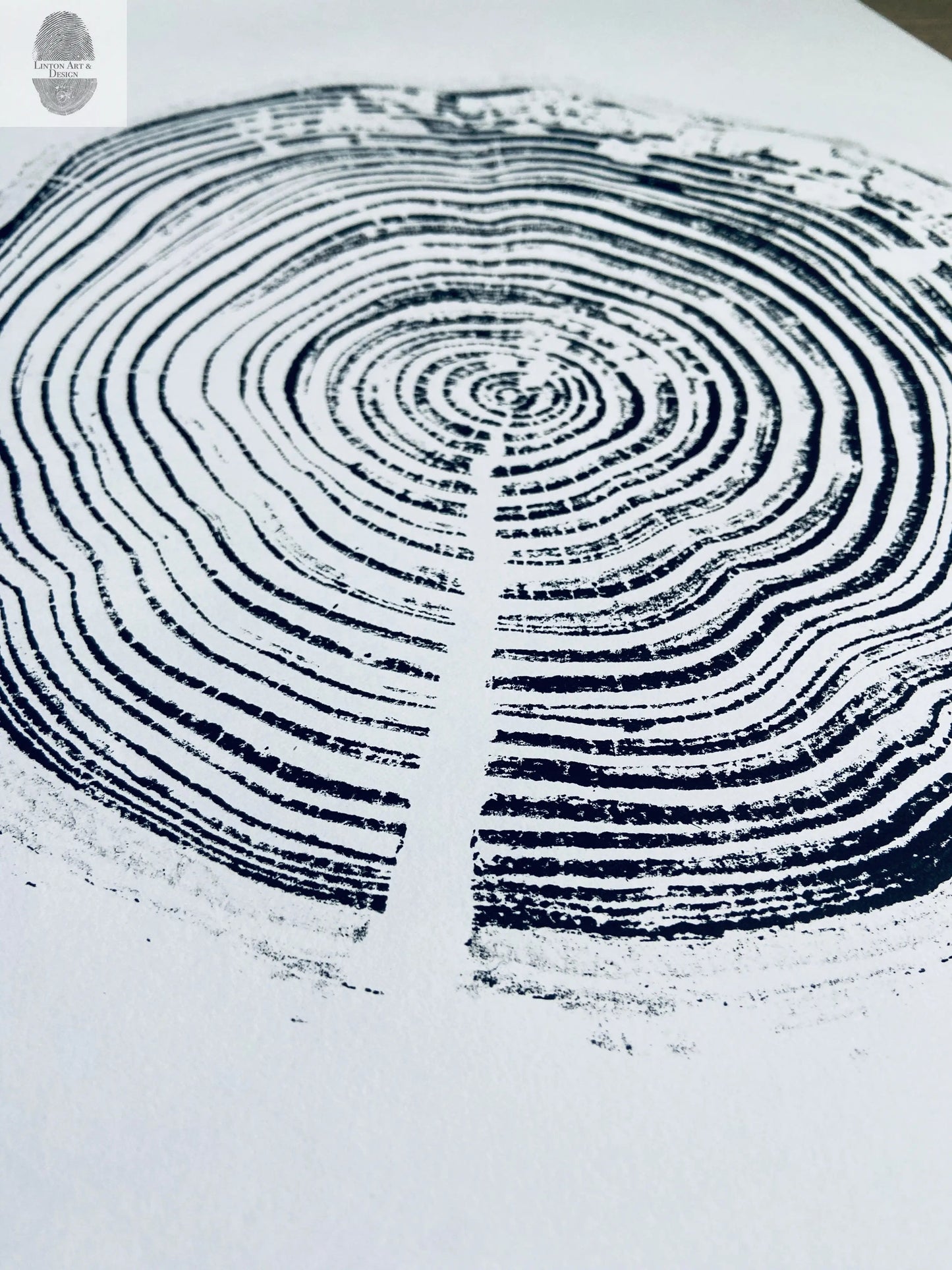 California Redwood, San Francisco, 30 year old wood ring, 18"x24", Hand-pressed print