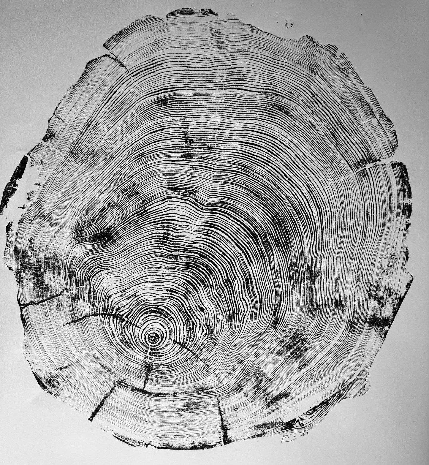 San Francisco, Original Real Redwood Art, 36"x48", Hand-pressed print