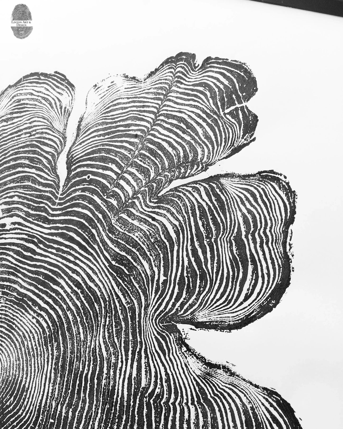 Western Red Cedar Woodcut Print, Oregon Coast Tree Ring Wall Art, 24×48″, Hand-pressed print